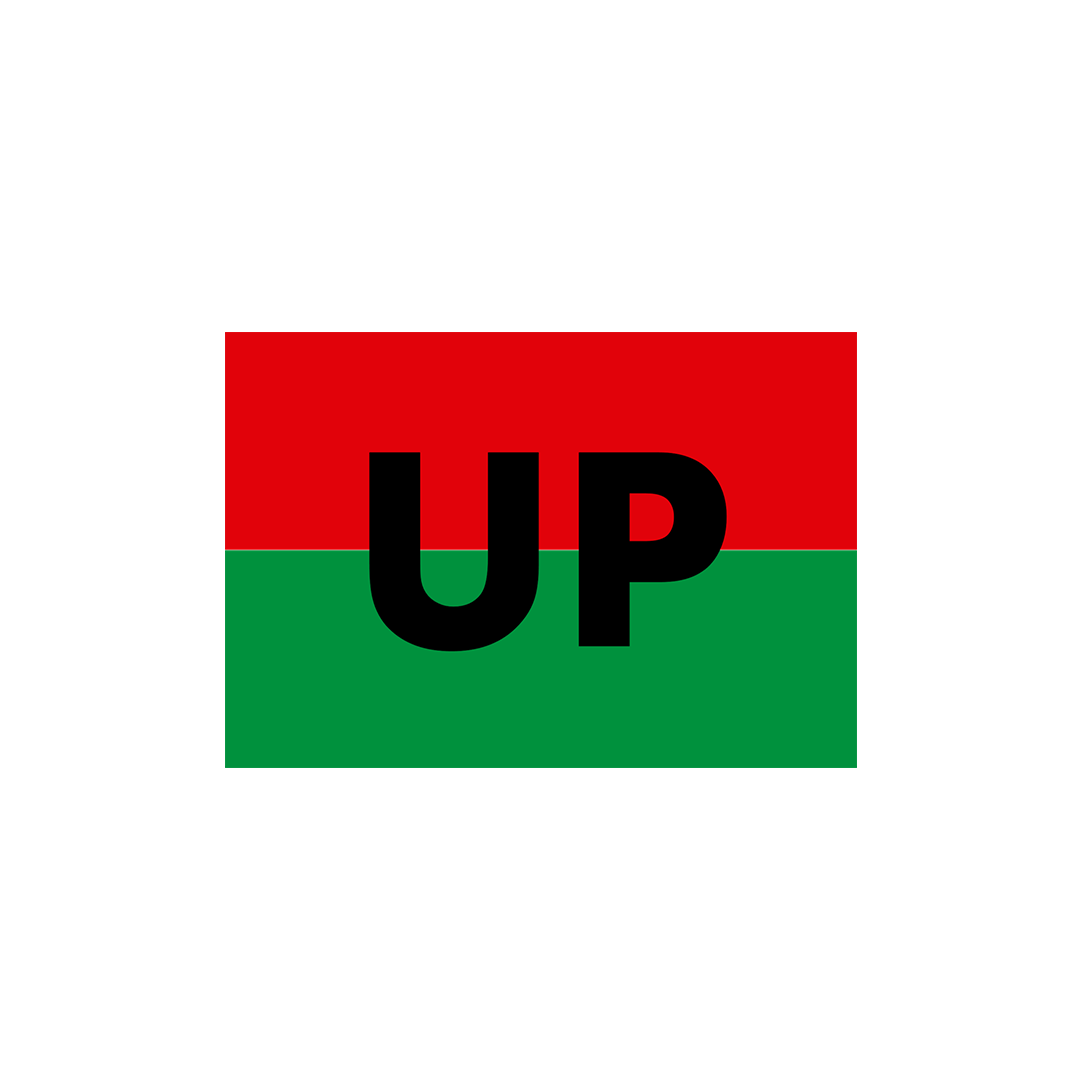 bandera unidad popular – Mora Contenidos